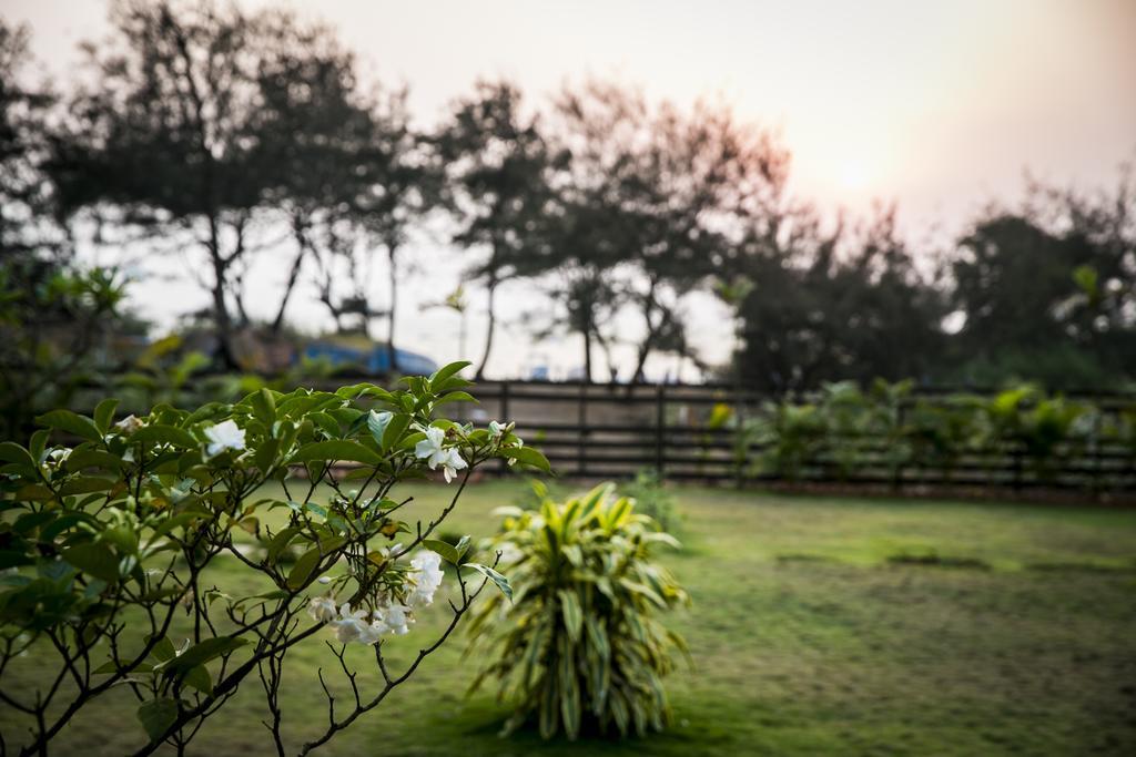 Casa Cubo By The Beach Bed and Breakfast Calangute Esterno foto